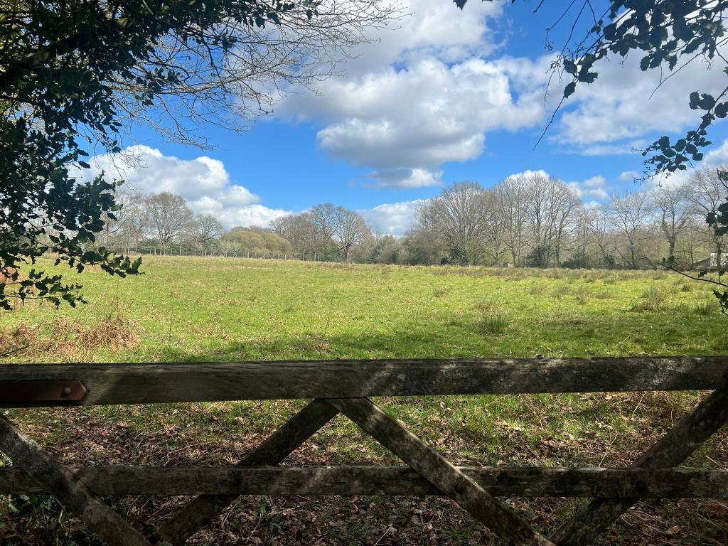 Lot: 148 - 3.14 ACRES OF FREEHOLD LAND - View of land from the gated access